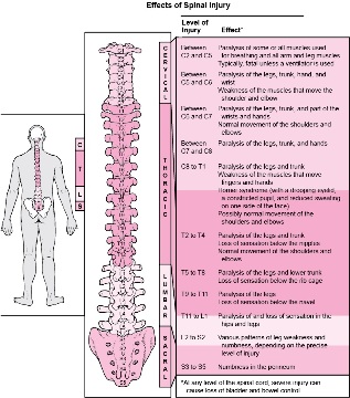 Enfermedades en el cuerpo asociadas con daños en varias partes de la columna. 