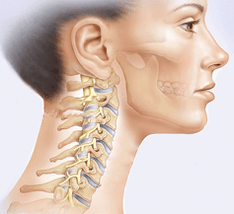 Representación de la columna cervical.